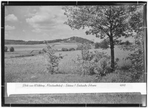 Blick zum Wolfsberg