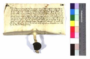 Lehenbrief Abt Johanns zu Ellwangen für Hans Scheffmayer zu Lauchheim um ein Tagwerk Wiesmahd zu Lauchheim, genannt die Egerden