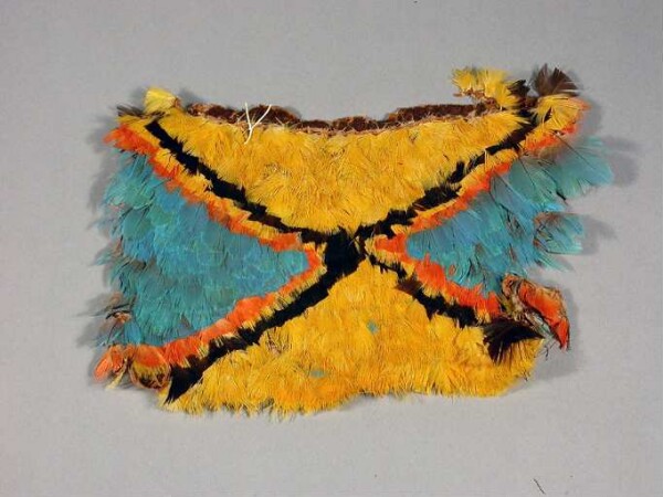 Tissu de plumes (fragment)