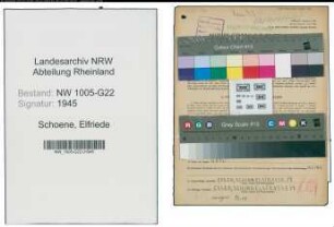 Entnazifizierung Elfriede Schoene , geb. 26.07.1901 (Teilhaberin)