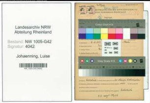 Entnazifizierung Luise Johaenning , geb. 08.10.1913 ()