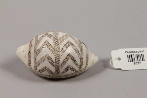 Penis capsule