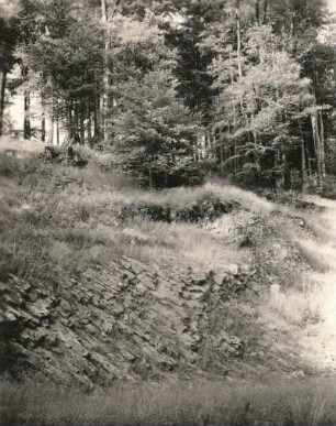 Elbsandsteingebirge. Basaltaufschluß am Großen Winterberg an der Winterbergstraße