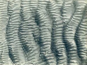 Strukturen im Sandboden, Watt