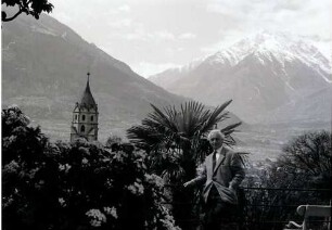 Meran: Durchblick vom Tappeiner Weg auf Pfarrkirche, Vordergrund Palme