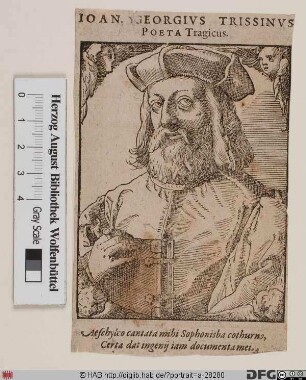 Bildnis Giangiorgio Trissino