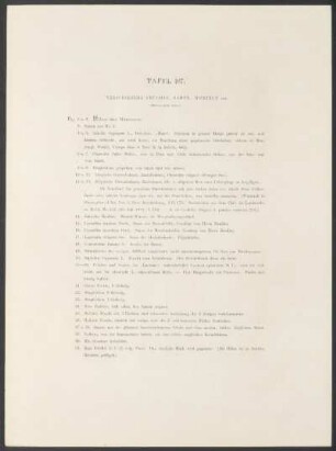 Tafel 107. - Verschiedene Früchte, Samen, Wurzeln etc.