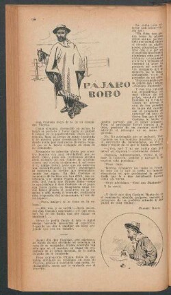 Pájaro bobo