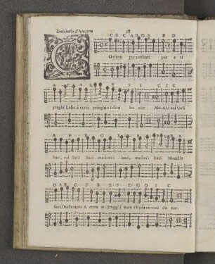 Desiderio d'Amante.
