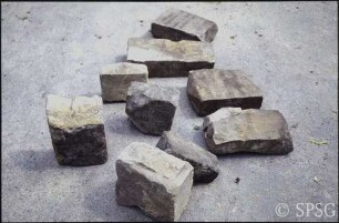 Potsdam, Park Sanssouci, Baumschule Sanssouci, gefundene Steinplatten mit Namen von Baumarten.