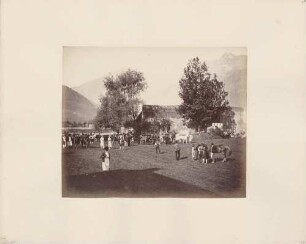 Viehmarkt in Meran