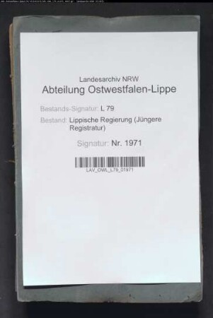 Regulierung der lippisch-preußischen Grenze, Band 8