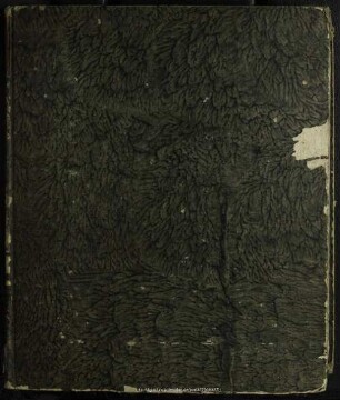 1828: Budissiner Nachrichten : Kreisblatt für den Kreis-Directions-Bezirk Budissin; Amtsblatt für Budissin, Schirgiswalda, Königswartha und Weißenberg