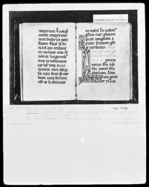 Processionale und Kalendarium — Initiale L(iber generationis), Folio 17recto