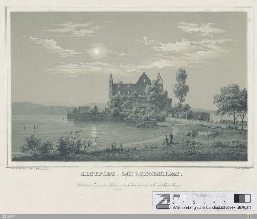 Montfort, bei Langenargen