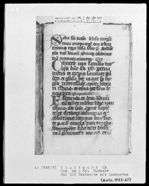Graduale-Sakramentar-Lektionar (Missale) — Ordinarium Missae, Folio 114recto-117verso — ---, Folio 114recto-117versoInitialen S, C und F, Folio 320recto