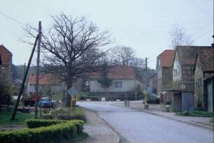 Dorfstraße; Gehöfte mit giebelständigen Häusern, Dorflinde