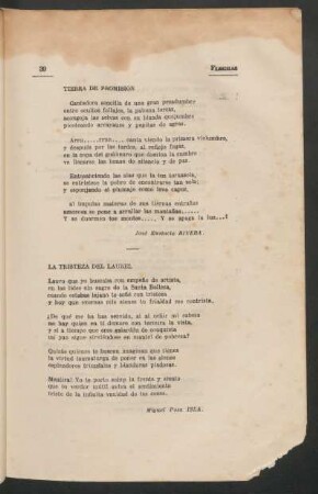 La tristeza del laurel