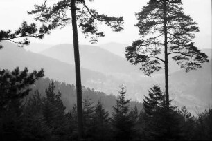 Herrenalb: Blick auf Herrenalb von der Rotensol-Straße