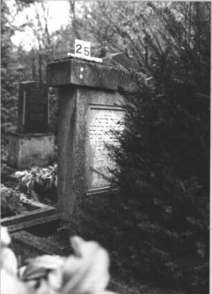Grabstein 25 (Index: 100116537) Material: Sandstein Zustand: gut Maße HxBxT: 113x55x16 cm Beschreibung: Stele, Sockel, mit Abdeckplatte, rechteckiges Schriftfeld eingetieft: Grabstein 25