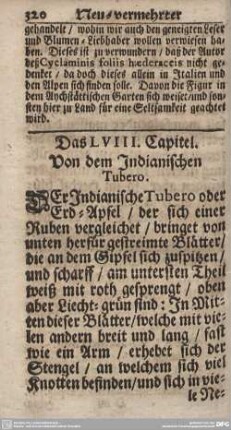 Das LVIII. Capitel. Von dem Indianischen Tubero.
