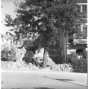 Negativ: Gelände, Menzelstraße 36, 1951