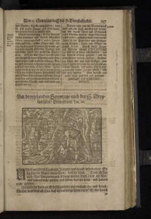 Am dreyzehenden Sonntage nach der H. Dreyfaltigkeit/ Evangelium Luc. 10.