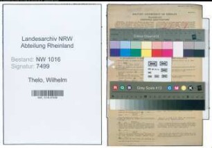 Entnazifizierung Wilhelm Thelo , geb. 15.09.1890 (Amtsinspektor)