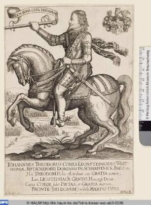 Johann Theodor, Graf von Löwenstein