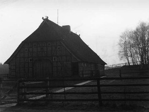 Nachtschatten