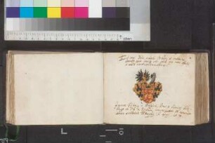 Wolffstein, Johann Friedrich von; Blatt 1
