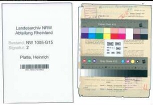 Entnazifizierung Heinrich Platte , geb. 01.09.1902 (Direktor)