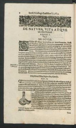 Cap. I. De Oculo.