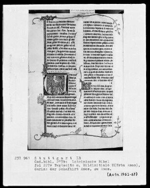 Lateinische Bibel, drei Bände — Initiale U (erba Amos) mit dem Propheten Amos, Folio 227recto