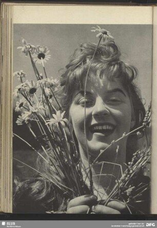 Margeriten-Porträt