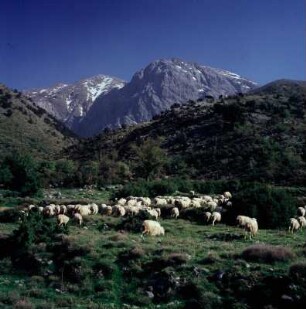 Kreta, Omalós. Auf dem Omalós-Plateau