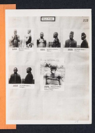Albumblatt 51 mit Angebotsserie "Kongo-Staat"