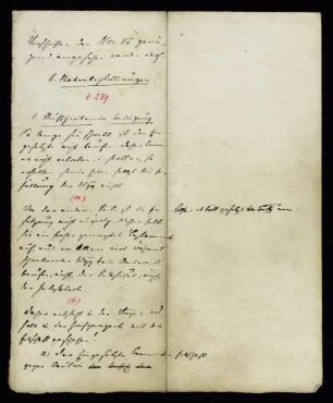 b. Nebenbestimmungen. § 289