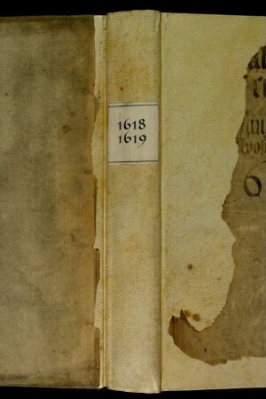 Ratsprotokolle, 1618 Juli 28. - 1619 Juli 30.