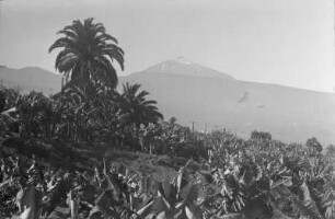 Teneriffa, Blick zum Vulkan Pico del Teide
