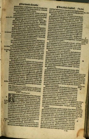 Den Bibel : Tgeheele Oude ende Nieuwe Testament met grooter naersticheyt na den Letijnsche text gecorrigeert ... ; Mit schoonen Figueren ghedruct ende naersteligik weder ouversien