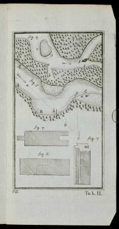 Tab. II. fig. 4. - fig. 7