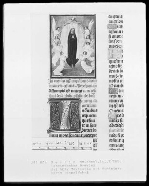 Brevier aus Namur — Mariae Himmelfahrt, Folio 504verso