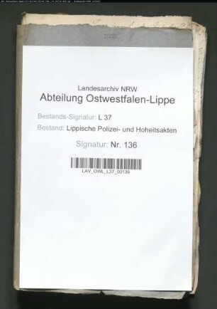 Eidliche Verpflichtung der lippischen Ärzte