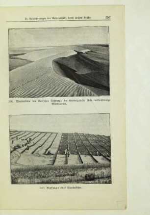 Wanderdüne der Kurischen Nehrung; im Vordergrunde links wellenförmige Windmarken