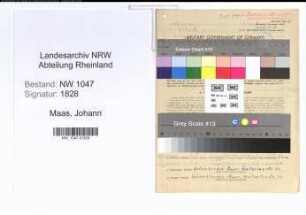 Entnazifizierung Johann Maas , geb. 12.01.1902 (Bergmann)