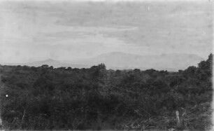 Landschaft (Sammlung Hans Meyer - Ostafrikaexpeditionen Hans Meyer 1886/1911)