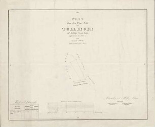 Plan über den Pfarr-Wald von Tüllingen auf dortiger Gemarkung