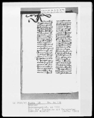 Brevier — Initiale R(adix), Folio 46verso
