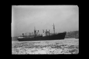 Braunfels (1952), Frachtschiff (reefer), D.D.G. "Hansa", Bau-Nr. 692
